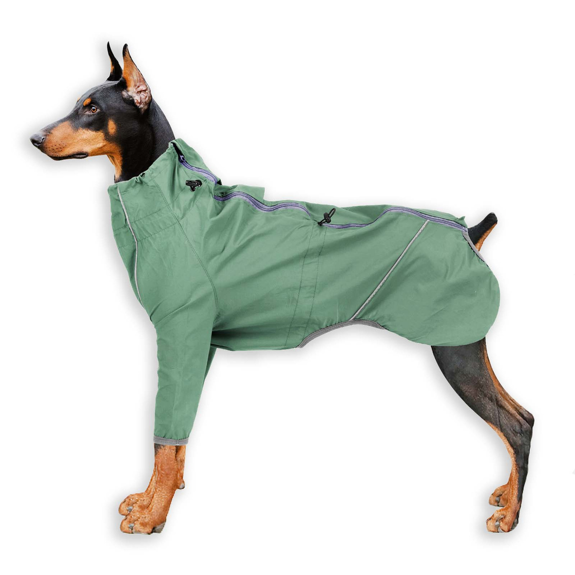 Regenmantel Hund in gr?n - XXL