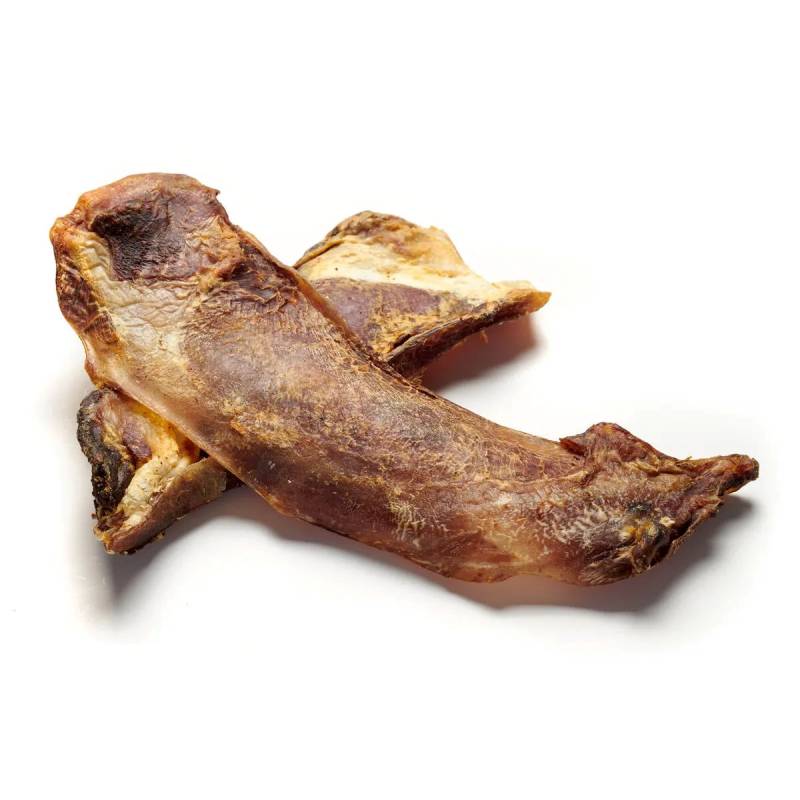 Rinderschulterknorpel