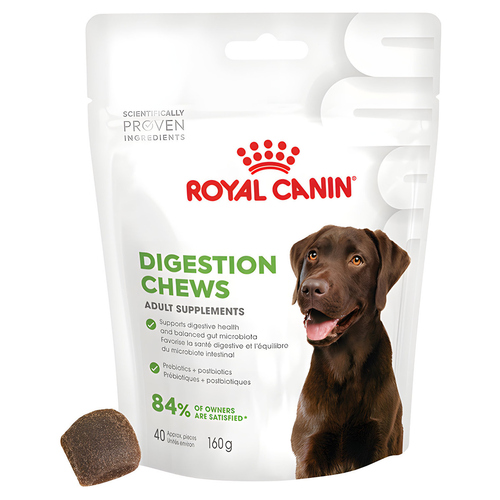 Royal Canin Digestion Chews Adult Supplements 6 x 160 g