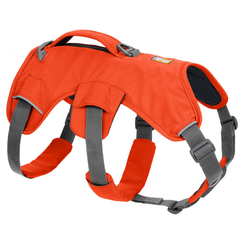 Ruffwear Hundegeschirr Web Master™ Harness Blaze Orange, Größe: XS