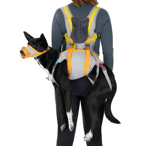 Ruffwear Notfallausrüstung BackTrak Dog Evacuation Kit Cloudburst Gray