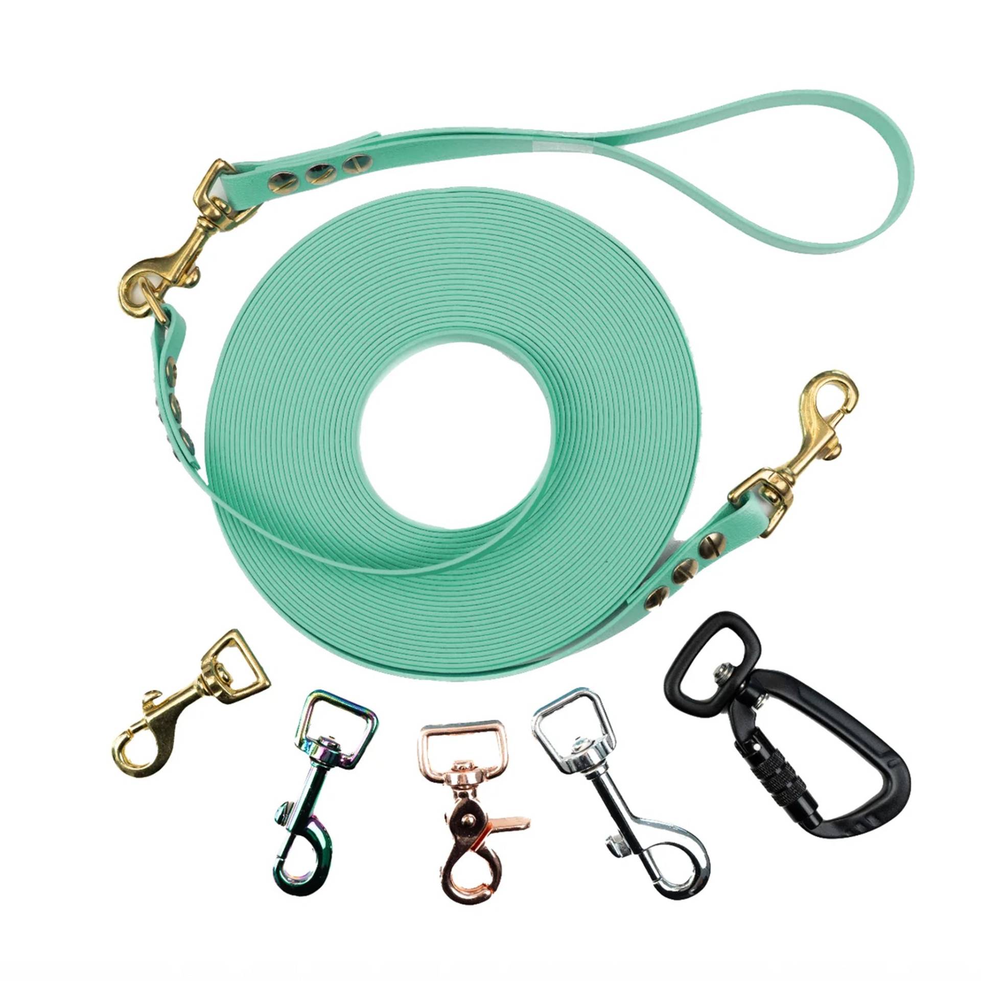 Schleppleine mit abnehmbarer Handschlaufe Mint 10m / 25mm / Gold Schleppleine mit abnehmbarer Handschlaufe Mint 10m / 25mm / Gold von EMMY&PEPE