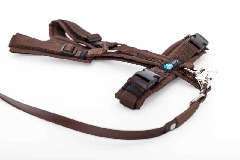 Set Leine & Brustgeschirr in braun-braun XS Biothane (Größe L)
