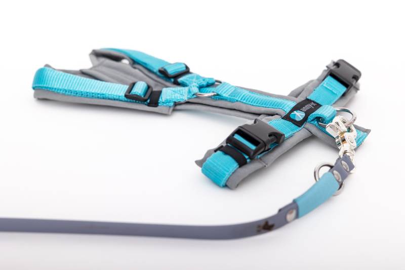 Set Leine & Brustgeschirr in grau-eisblau XS Biothane (Größe L)