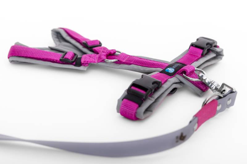 Set Leine & Brustgeschirr in grau-pink S Biothane (Größe L)