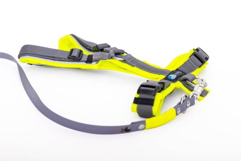 Set Leine & Brustgeschirr in neongelb-grau S Biothane (Größe S)