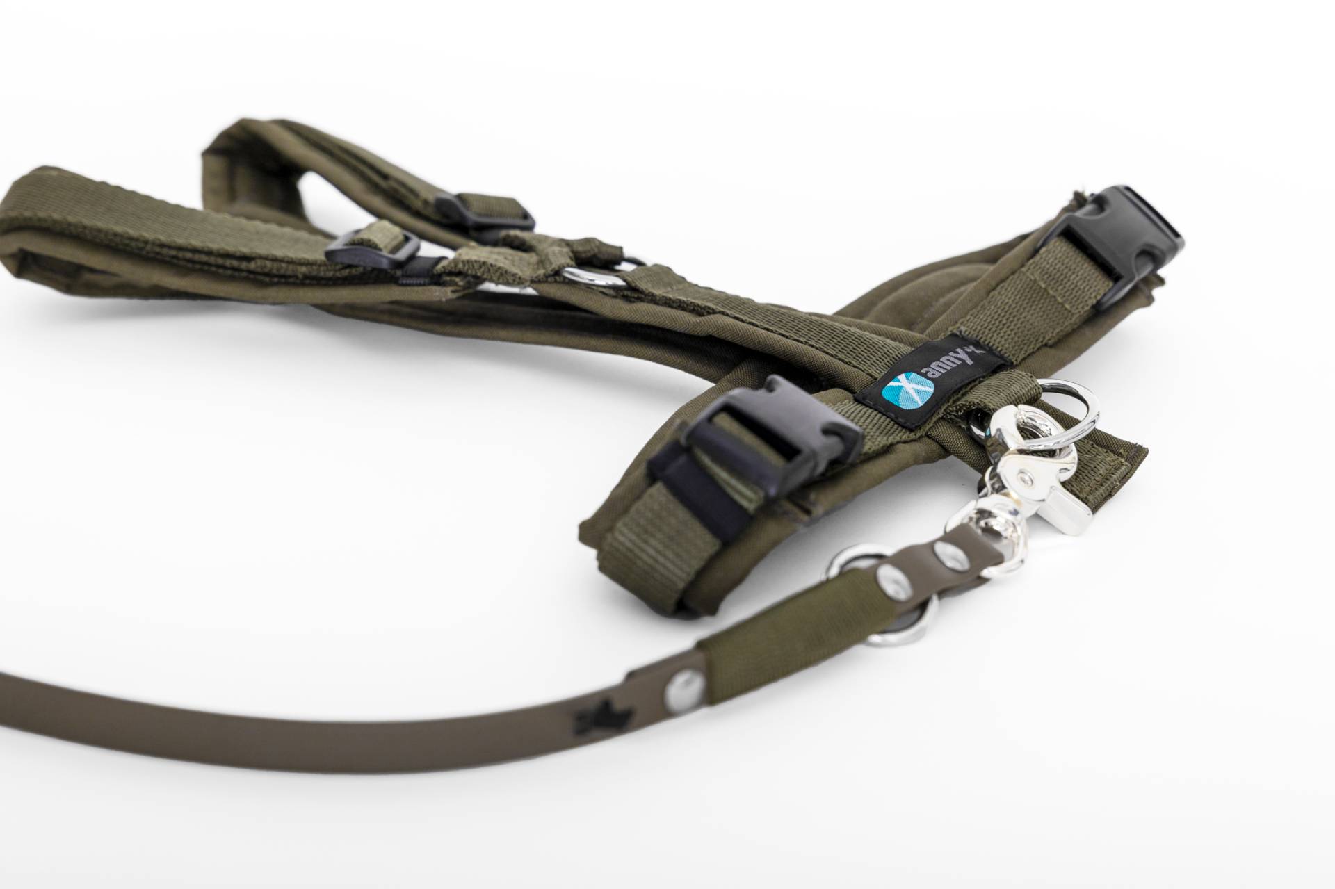 Set Leine & Brustgeschirr in oliv-oliv L Biothane (Größe L)