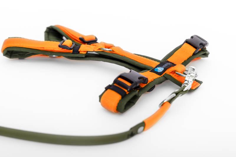 Set Leine & Brustgeschirr in oliv-orange M Biothane (Größe S)