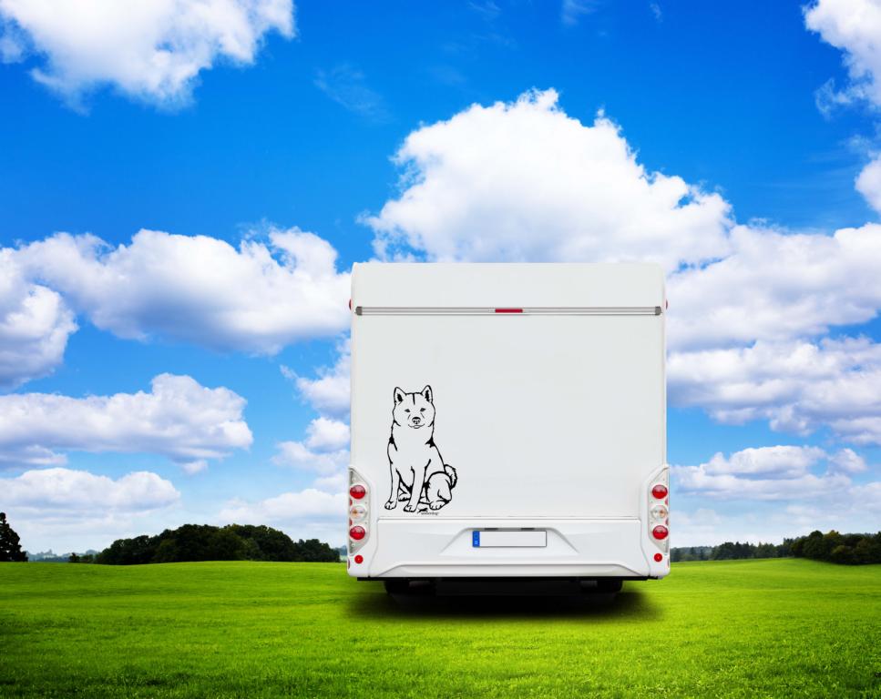 Shiba Inu Auto Wohnmobil Aufkleber I Wandtattoo - H30cm / Weiß