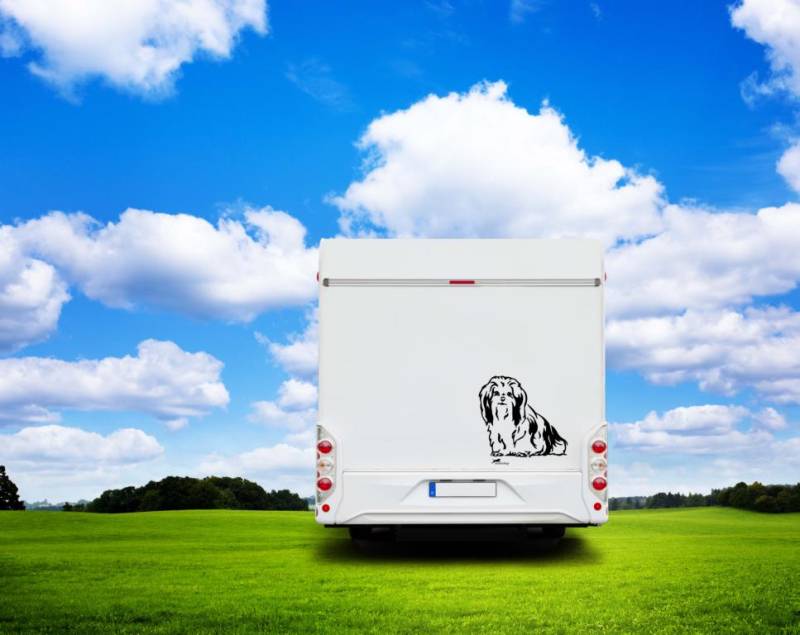 Shih Tzu Auto Wohnmobil Aufkleber  I Wandtattoo - H30cm / Weiß