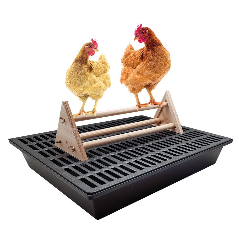 Sitzstange für Hühner - Komplettset