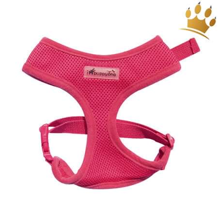 Soft Brustgeschirr Ipuppyone Air Flex Pink
