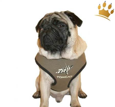 Softbrustgeschirr TOM CAT