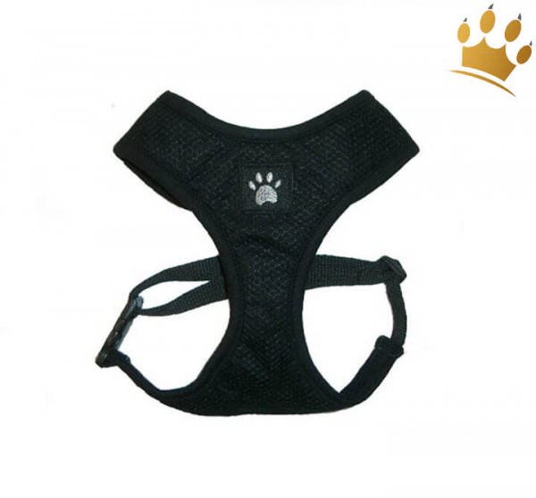 Softgeschirr City Paw Mesh