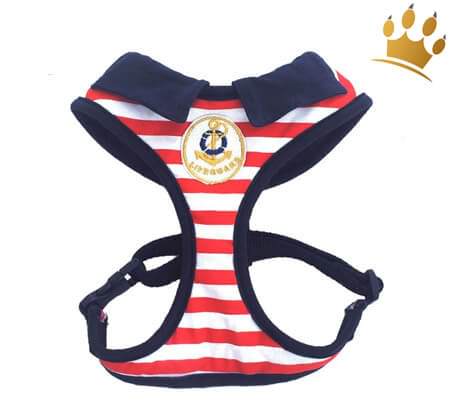 Softgeschirr Lifeguard Blau