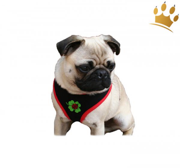 Softgeschirr Lucky Dogs