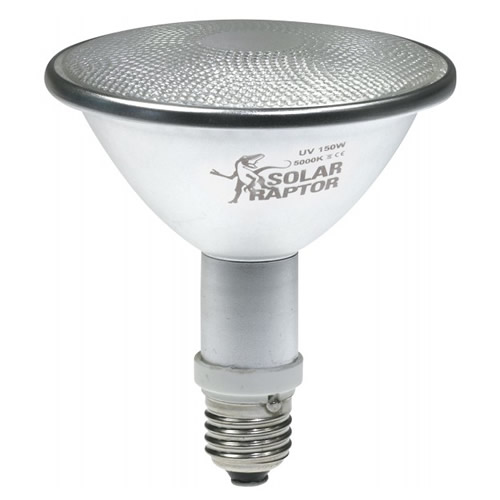 SolarRaptor HID-Spot-Strahler 70 W