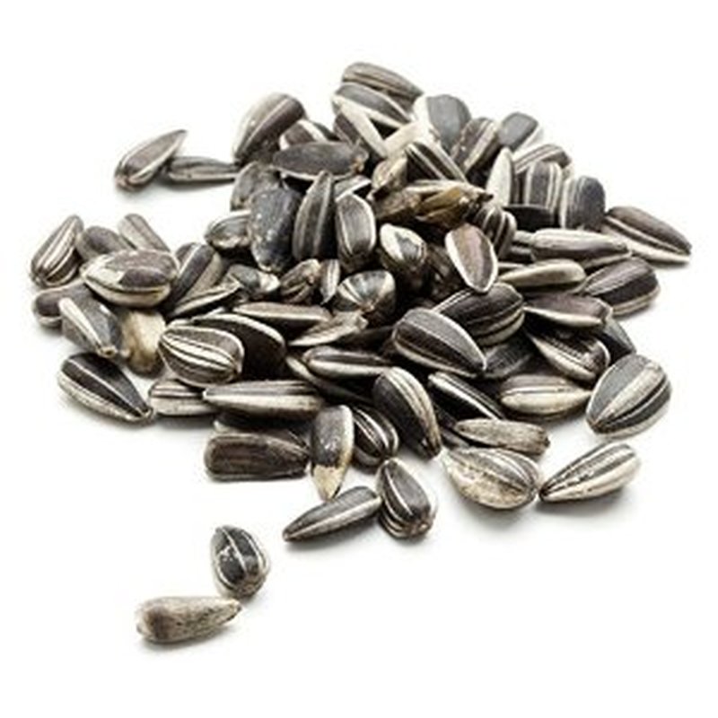 Sonnenblumenkerne gestreift - 2,5 kg (2,92 € pro 1 kg)