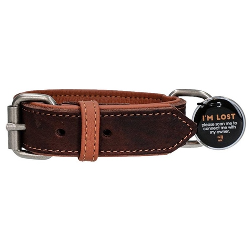 Spotted! Pro Lederhalsband braun, Länge: 50 cm / Breite: 2,5 cm