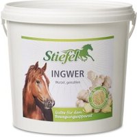 Stiefel Ingwer 1 kg Stiefel Ingwer 1 kg von Stiefel