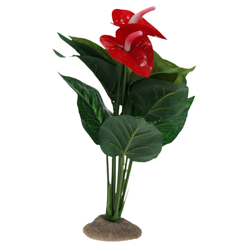 Terra Della Dekoration Anthurium grün