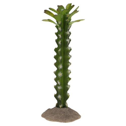 Terra Della Dekoration Kaktus mit Blüten säulenförmig grün