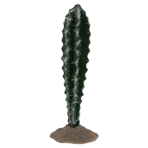 Terra Della Dekoration Kaktus mit Stacheln säulenförmig grün