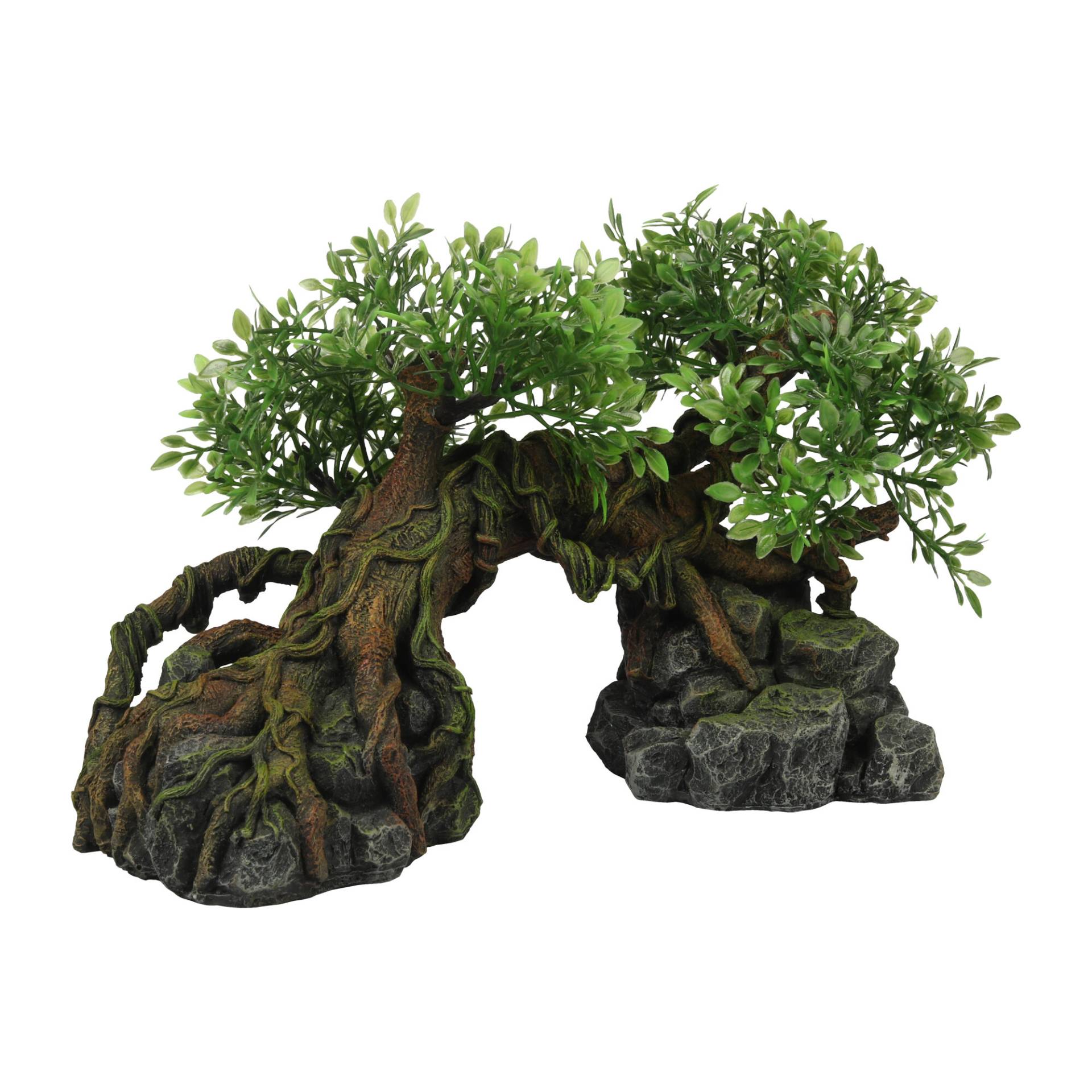 Terra Della Dschungelbaum Terra Della Dschungelbaum von Terra Della