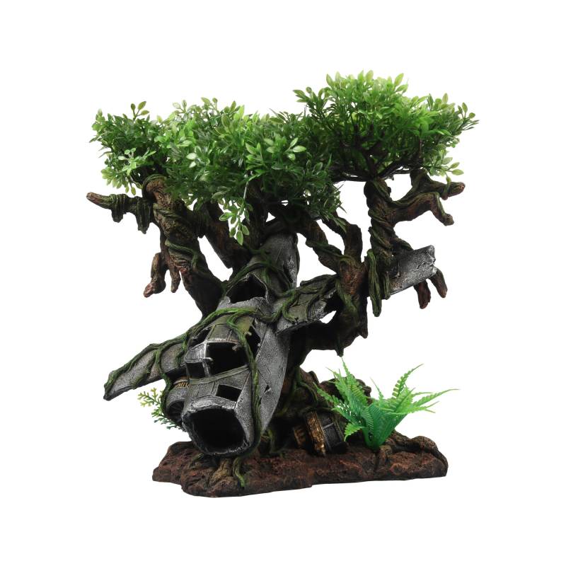 Terra Della Flugzeugwrack Baum Terra Della Flugzeugwrack Baum von Terra Della