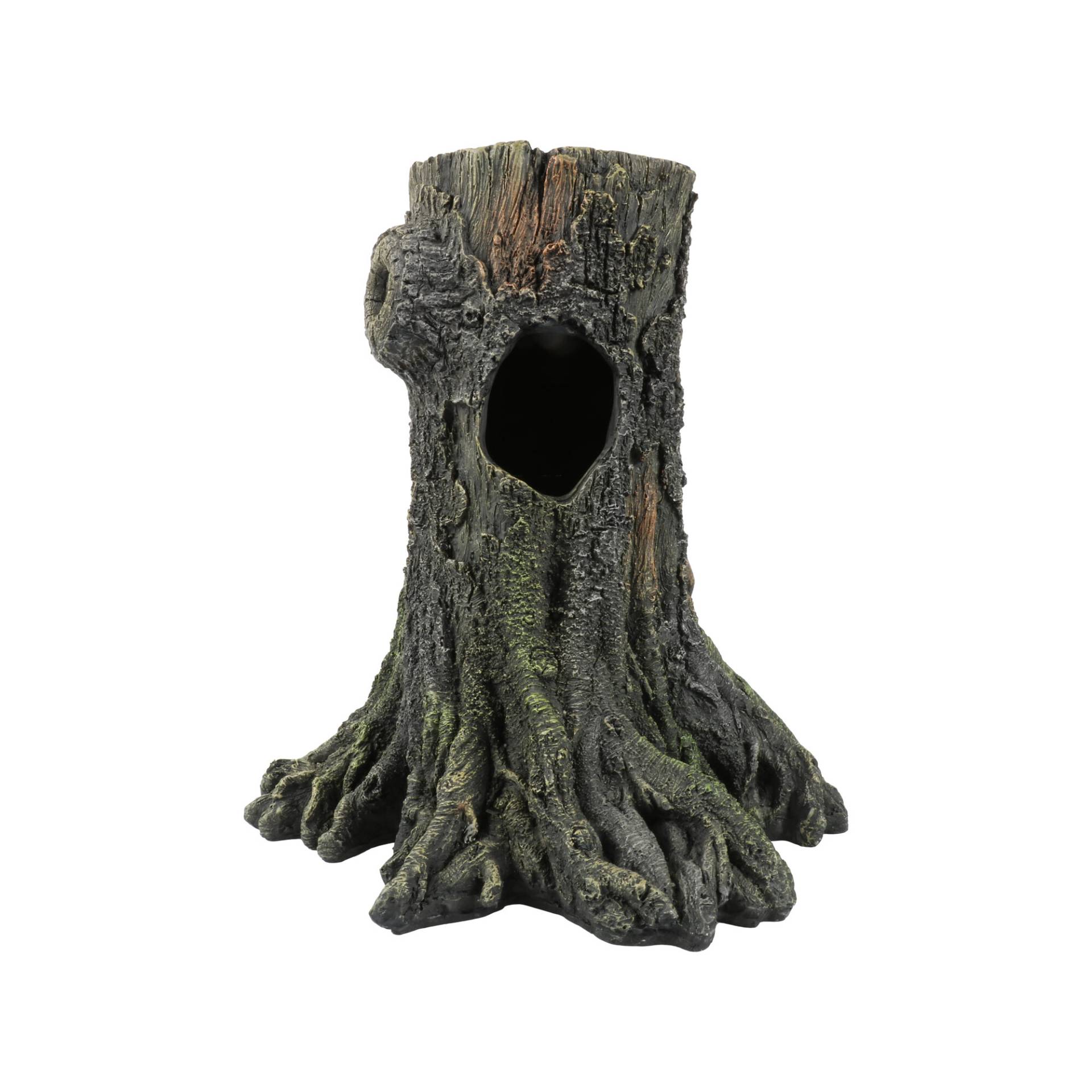 Terra Della Gecko Baum Terra Della Gecko Baum von Terra Della