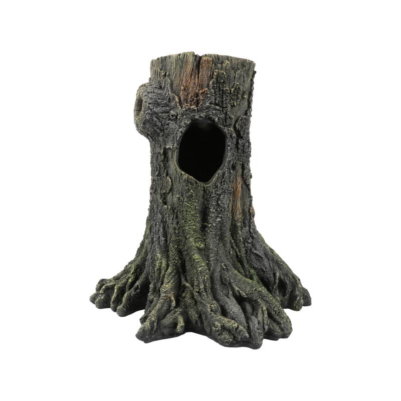 Terra Della Gecko Baum von Terra Della