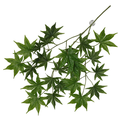 Terra Della Hängepflanze Cannabis grün