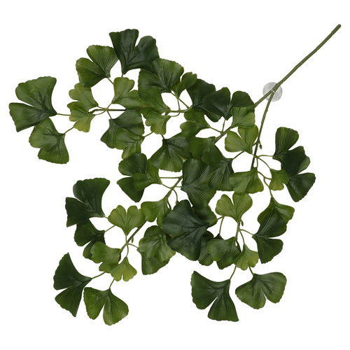 Terra Della Hängepflanze Ginko dunkelgrün
