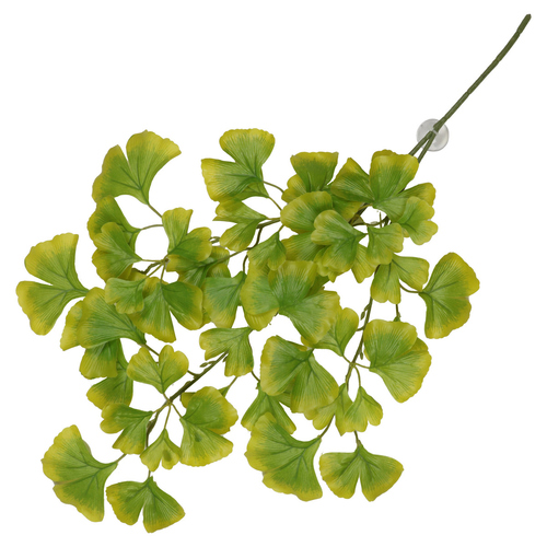 Terra Della Hängepflanze Ginko grün Terra Della Hängepflanze Ginko grün