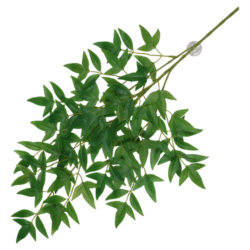 Terra Della Hängepflanze Nandina grün