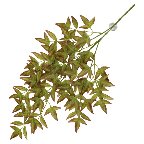 Terra Della Hängepflanze Nandina rot