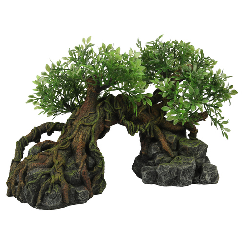Terra Della Terrarium Dekoration Dschungel Baum