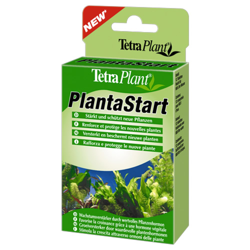 Tetra Plant PlantaStart 12 Tabletten