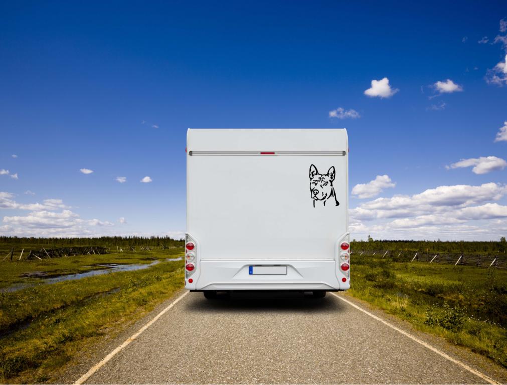 Thai Ridgeback Kopf Auto Wohnmobil Aufkleber  I Wandtattoo - H50cm / Weiß