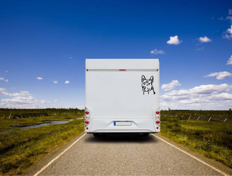 Thai Ridgeback Kopf Auto Wohnmobil Aufkleber  I Wandtattoo - H50cm / Weiß