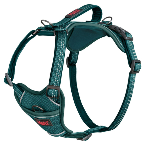 The Company of Animals Hundegeschirr Anatomy Harness Teal, Größe: XL