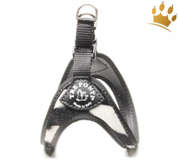 Tre Ponti Hundegeschirr Afrika Zebra