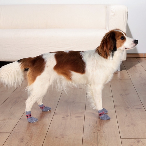 Trixie Hundesocken, Anti-Rutsch, Größe: XL