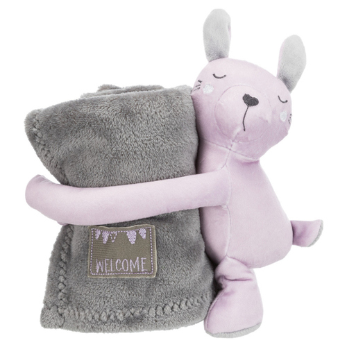 Trixie Junior Kuschel-Set grau/flieder für Katzen