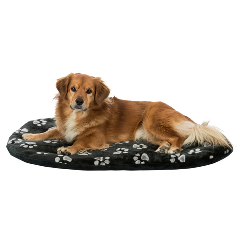 Trixie Kissen Jimmy schwarz für Hunde, Maße: 54 x 35 cm Trixie Kissen Jimmy schwarz für Hunde, Maße: 54 x 35 cm