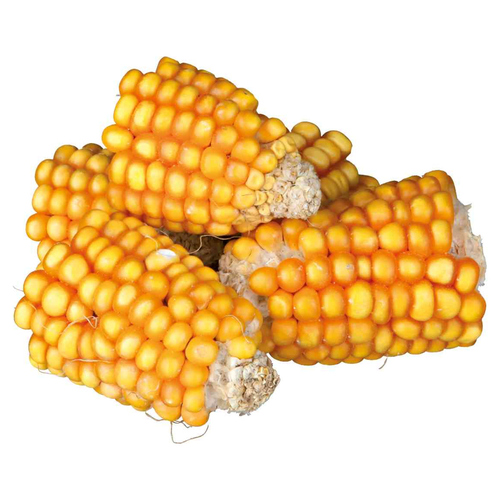 Trixie Natur-Snack Maiskolbenstücke 300 g Trixie Natur-Snack Maiskolbenstücke 300 g