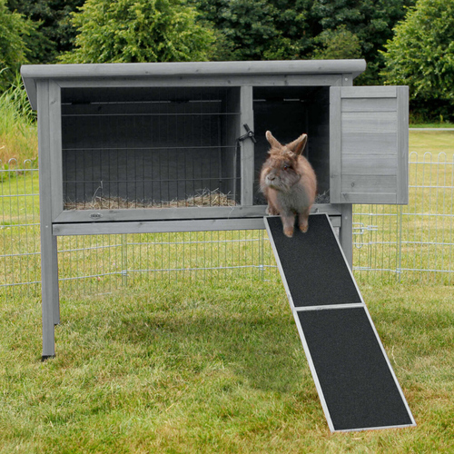 Trixie Rampe für Kleintiere grau, Maße: 20 x 50 cm Trixie Rampe für Kleintiere grau, Maße: 20 x 50 cm
