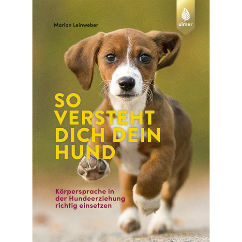 Ulmer So versteht dich dein Hund
