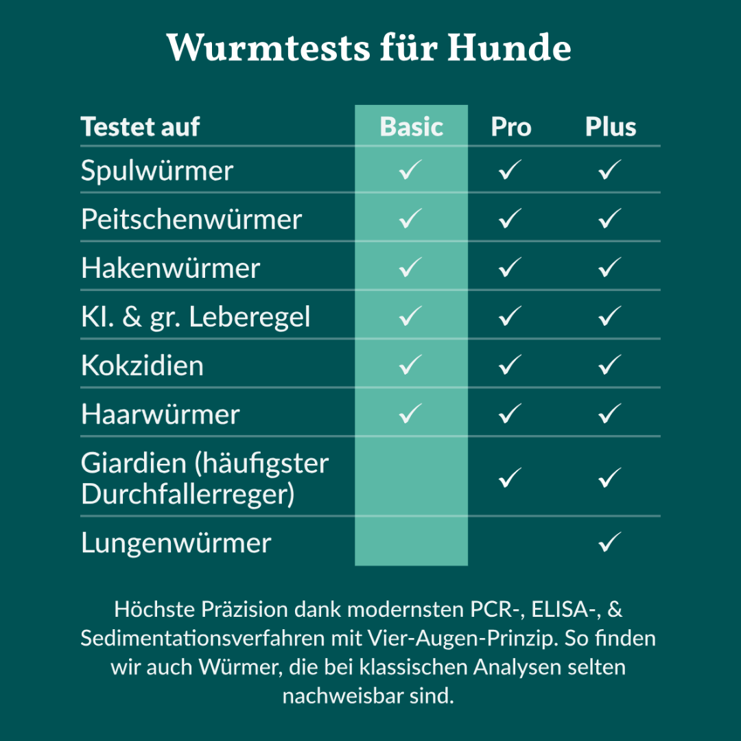 Vetevo Wurmtest Basic Hund – 1 Stück Vetevo Wurmtest Basic Hund – 1 Stück von Vetevo