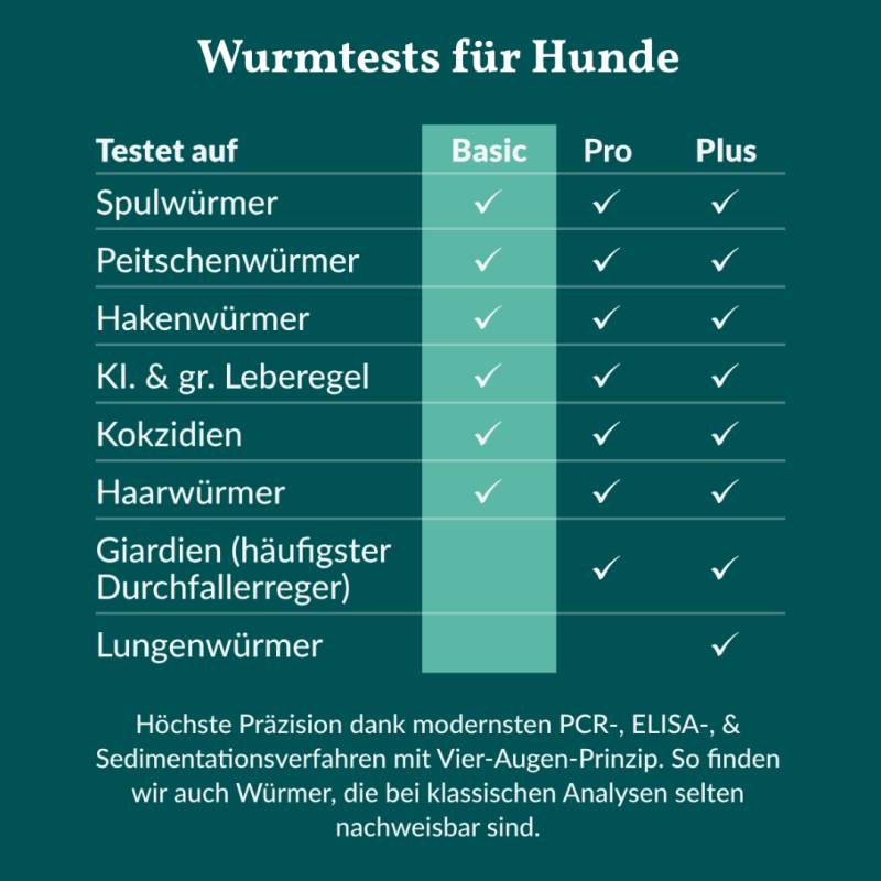 Vetevo Wurmtest Basic Hund – 1 Stück Vetevo Wurmtest Basic Hund – 1 Stück von Vetevo